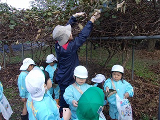105_7407.jpg