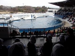 105_7925.jpg