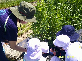 DSCF0171.jpg