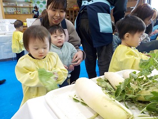 DSCN3268.jpg